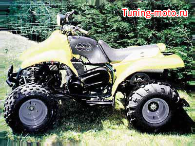 MGM Quad`s Arman